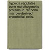 Hypoxia Regulates Bone Morphogenetic Proteins In Rat Bone Marrow-Derived Endothelial Cells. door Shilpi Seth