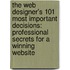 The Web Designer's 101 Most Important Decisions: Professional Secrets For A Winning Website