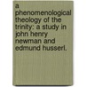 A Phenomenological Theology Of The Trinity: A Study In John Henry Newman And Edmund Husserl. door Ono Paul Ekeh