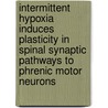 Intermittent Hypoxia Induces Plasticity In Spinal Synaptic Pathways To Phrenic Motor Neurons door Mary Rachael Lovett-Barr