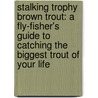 Stalking Trophy Brown Trout: A Fly-Fisher's Guide to Catching the Biggest Trout of Your Life by John Holt