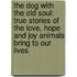 The Dog with the Old Soul: True Stories of the Love, Hope and Joy Animals Bring to Our Lives