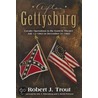 After Gettysburg: Cavalry Operations in the Eastern Theater July 14, 1863 to December 31, 1863. door Robert Trout