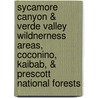 Sycamore Canyon & Verde Valley Wildnerness Areas, Coconino, Kaibab, & Prescott National Forests door National Geographic Maps