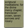 Scriptural Meditations: For the Divine Mercy Chaplet, Franciscan Crown, Seven Sorrows and Rosary door Lucas J. Amato