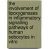 The Involvement of Lipoxygenases in Inflammatory Signalling Pathways of Human Sebocytes in Vitro door Theodosios Alestas