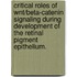 Critical Roles Of Wnt/Beta-Catenin Signaling During Development Of The Retinal Pigment Epithelium.