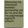 Dissecting The Interaction Between Escherichia Coli 6S Rna And The Rna Polymerase Sigma70 Subunit. door Andrew D. Klocko