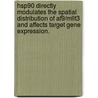 Hsp90 Directly Modulates The Spatial Distribution Of Af9/Mllt3 And Affects Target Gene Expression. door Jeffrey J. Lin