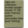 Rigby Pm Coleccion: Leveled Reader (levels 17-18) Osito Marcos Quiere Pescaraby Bear Goes Fishing) door Authors Various