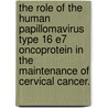 The Role Of The Human Papillomavirus Type 16 E7 Oncoprotein In The Maintenance Of Cervical Cancer. door Sean Farhad Jabbar