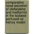 Comparative Renal Excretion Of Clofarabine And Metformin In The Isolated Perfused Rat Kidney Model.