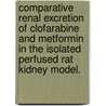 Comparative Renal Excretion Of Clofarabine And Metformin In The Isolated Perfused Rat Kidney Model. door Rakesh Gollen