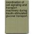 Coordination Of Cell Signaling And Transport Machinery During Insulin-Stimulated Glucose Transport.
