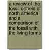 A Review of the Fossil Ostreid of North America and a Comparison of the Fossil with the Living Forms by Charles A. White