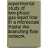Experimental Study Of Two-Phase Gas-Liquid Flow In A Microscale Fractal-Like Branching Flow Network.
