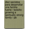 Diez Secretos Para Desarrollar Una Familia Fuerte / Bolsillo: Growing A Spiritually Strong Family / Pb door D. Rainey