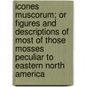 Icones Muscorum; Or Figures and Descriptions of Most of Those Mosses Peculiar to Eastern North America door William Starling Sullivant
