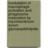 Modulation Of Macrophage Activation And Phagosome Maturation By Mycobacterium Avium Glycopeptidolipids. by Lindsay Leigh Sweet