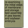 Re-Examining The Initial Steps Of Membrane And Storage Lipid Assembly In Pea Leaves And Soybean Embryos door Philip David Bates