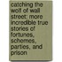 Catching The Wolf Of Wall Street: More Incredible True Stories Of Fortunes, Schemes, Parties, And Prison