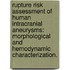 Rupture Risk Assessment Of Human Intracranial Aneurysms: Morphological And Hemodynamic Characterization.