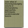 Color Atlas Of Microneurosurgery, Volume 2: Microanatomy. Approaches. Techniques; Cerebrovascular Lesions by Wolfgang Th Koos