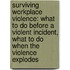 Surviving Workplace Violence: What To Do Before A Violent Incident, What To Do When The Violence Explodes
