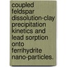 Coupled Feldspar Dissolution-Clay Precipitation Kinetics And Lead Sorption Onto Ferrihydrite Nano-Particles. door Peng Lu