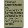 Metabolic Debromination And Genotoxicity Of Polybrominated Diphenyl Ethers In Common Carp (Cyprinus Carpio). by Rae T. Benedict