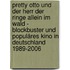 Pretty Otto und der Herr der Ringe allein im Wald - Blockbuster und populäres Kino in Deutschland 1989-2006