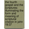 The Fourth Gospel and the Scriptures: Illuminating the Form and Meaning of Scriptural Citation in John 19:37 door Wm Randolph Bynum