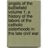 Angels of the Battlefield Volume 1; A History of the Labors of the Catholic Sisterhoods in the Late Civil War