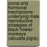 Social And Hormonal Mechanisms Underlying Male Reproductive Strategies Of Black Howler Monkeys (Alouatta Pigra). by Sarie Van Belle