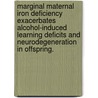 Marginal Maternal Iron Deficiency Exacerbates Alcohol-Induced Learning Deficits And Neurodegeneration In Offspring. door Echoleah S. Rufer