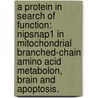 A Protein In Search Of Function: Nipsnap1 In Mitochondrial Branched-Chain Amino Acid Metabolon, Brain And Apoptosis. door Manisha Nautiyal