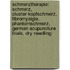 Schmerztherapie: Schmerz, Cluster-Kopfschmerz, Fibromyalgie, Phantomschmerz, German Acupuncture Trials, Dry Needling