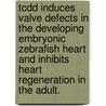 Tcdd Induces Valve Defects In The Developing Embryonic Zebrafish Heart And Inhibits Heart Regeneration In The Adult. door Vatsal Mehta