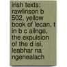 Irish Texts: Rawlinson B 502, Yellow Book Of Lecan, T In B C Ailnge, The Expulsion Of The D Isi, Leabhar Na Ngenealach door Books Llc