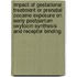 Impact Of Gestational Treatment Or Prenatal Cocaine Exposure On Early Postpartum Oxytocin Synthesis And Receptor Binding.