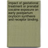 Impact Of Gestational Treatment Or Prenatal Cocaine Exposure On Early Postpartum Oxytocin Synthesis And Receptor Binding. by Matthew S. McMurray