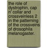 The Role Of Dystrophin, Cap N' Collar And Crossveinless 2 In The Patterning Of The Crossveins Of Drosophila Melanogaster. door Debra Lynn Jelin