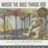 Where The Wild Things Are: In The Night Kitchen, Outside Over There, Nutshell Library, Sign On Rosie's Door, Very Far Away