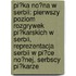 Pi?Ka No?Na W Serbii: Pierwszy Poziom Rozgrywek Pi?Karskich W Serbii, Reprezentacja Serbii W Pi?Ce No?Nej, Serbscy Pi?Karze