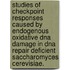 Studies Of Checkpoint Responses Caused By Endogenous Oxidative Dna Damage In Dna Repair Deficient Saccharomyces Cerevisiae.