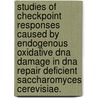 Studies Of Checkpoint Responses Caused By Endogenous Oxidative Dna Damage In Dna Repair Deficient Saccharomyces Cerevisiae. door Vaibhav Pawar
