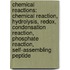 Chemical Reactions: Chemical Reaction, Hydrolysis, Redox, Condensation Reaction, Phosphate Reaction, Self-Assembling Peptide