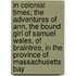 In Colonial Times; The Adventures of Ann, the Bound Girl of Samuel Wales, of Braintree, in the Province of Massachusetts Bay