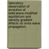 Laboratory Observation Of Evolution Of Iedd-Wave-Modified Equilibrium And Density-Gradient Effects On Smia Wave Propagation. door Eric W. Reynolds