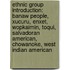 Ethnic Group Introduction: Banaw People, Xucuru, Enxet, Wopkaimin, Toqui, Salvadoran American, Chowanoke, West Indian American
